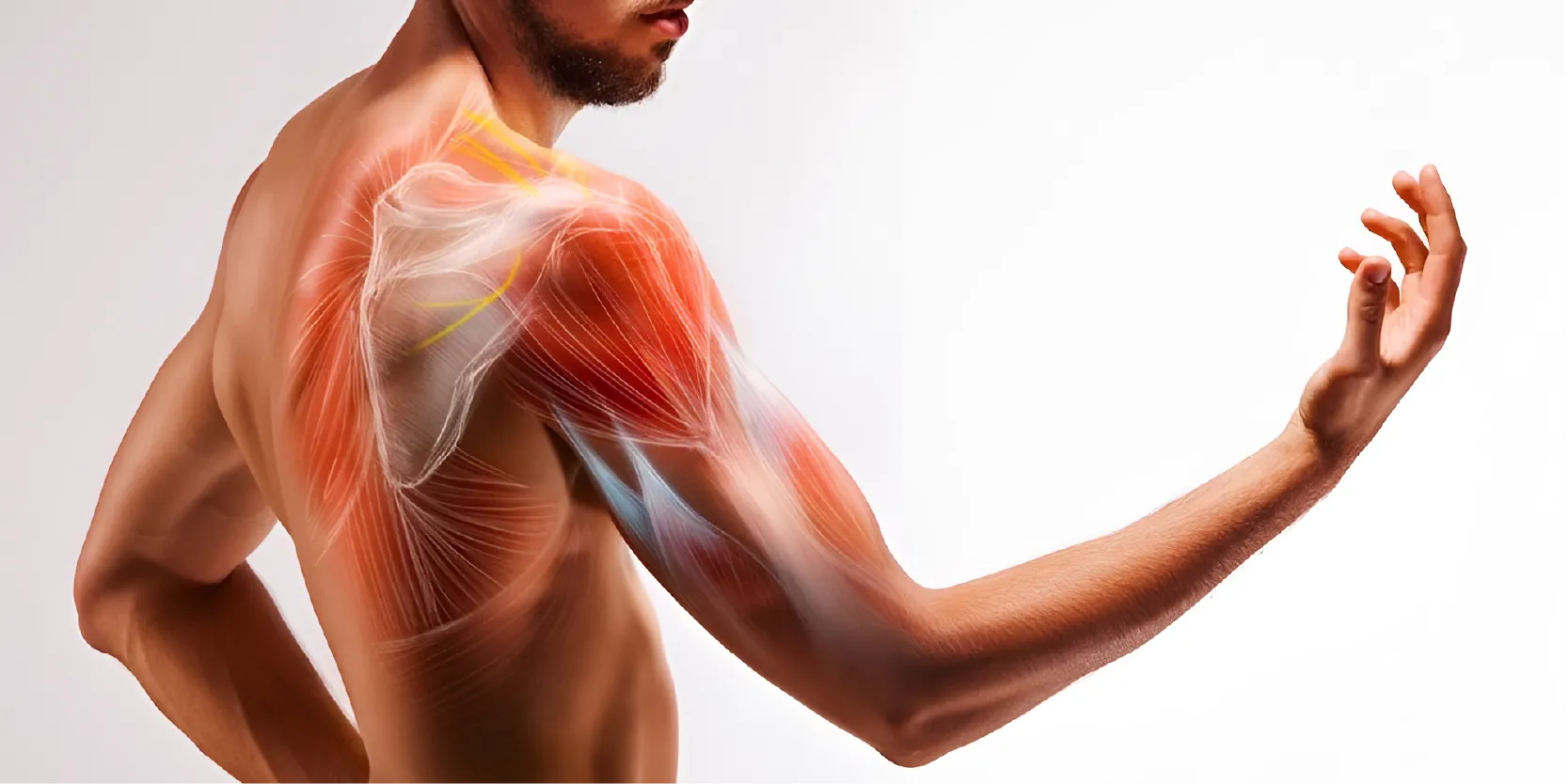 Dolores de cuello, hombro y brazo